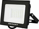 REXANT 605-017 Прожектор цветного свечения (зеленый) 50Вт REXANT