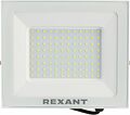 REXANT 605-027 Прожектор светодиодный СДО 100Вт 8000Лм 6500K холодный свет, белый корпус REXANT