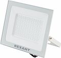 REXANT 605-027 Прожектор светодиодный СДО 100Вт 8000Лм 6500K холодный свет, белый корпус REXANT