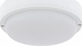REXANT 607-207 Светильник ЖКХ LED пылевлагозащищенный круг IP65 12Вт 1140Лм 6500K с микроволновым датчиком движения REXANT REXANT 607-207 Светильник ЖКХ LED пылевлагозащищенный круг IP65 12Вт 1140Лм 6500K с микроволновым датчиком движения REXANT