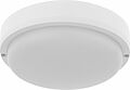 REXANT 607-256 Светильник ЖКХ LED пылевлагозащищенный круг IP65 8Вт 760Лм 6500K с микроволновым датчиком движения REXANT REXANT 607-256 Светильник ЖКХ LED пылевлагозащищенный круг IP65 8Вт 760Лм 6500K с микроволновым датчиком движения REXANT