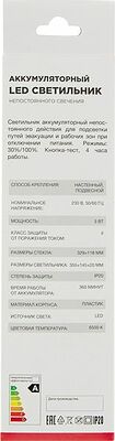 REXANT 74-1305 Светильник аккумуляторный непостоянного действия для подсветки путей эвакуации и рабочих зон при отключении питания, режимы: 30%/100% кнопка тест, 3 ч работы