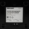 REXANT 75-0603 Ночник светодиодный Стеклянный медведь REXANT REXANT 75-0603 Ночник светодиодный Стеклянный медведь REXANT