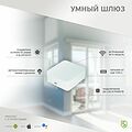 SECURIC SEC-GT-101 Умный Wi-Fi/Zigbee/Bluetooth шлюз SECURIC
