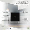 SECURIC SEC-HV-801B Умный Wi-Fi выключатель однокнопочный черный SECURIC