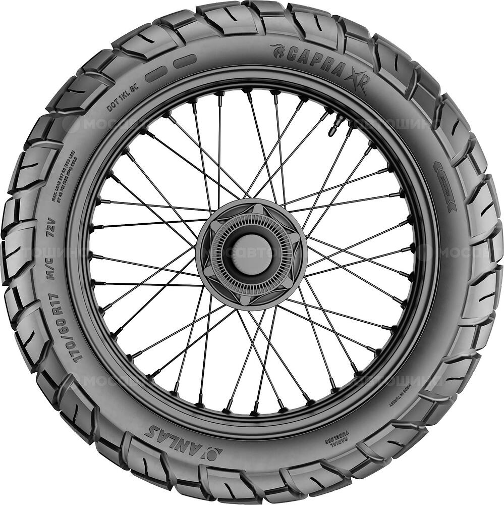 Side view Anlas Capra-XR 190/55 B17 75W (Задняя)