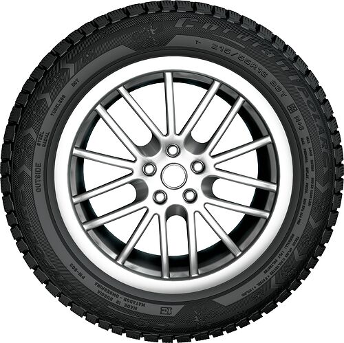 Cordiant Polar 2