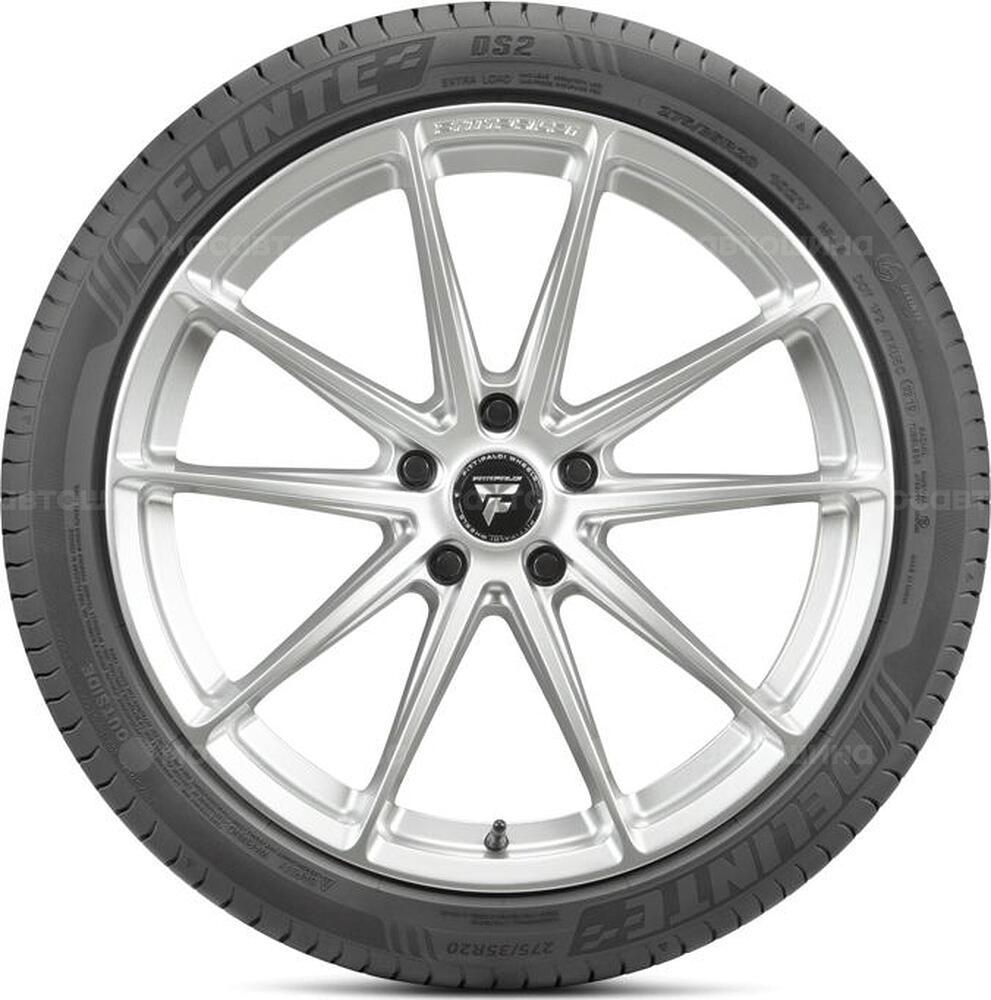 Вид сбоку Delinte DS2 245/45 R19 102Y