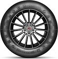 Doublestar DS01 265/70 R16 112H 
