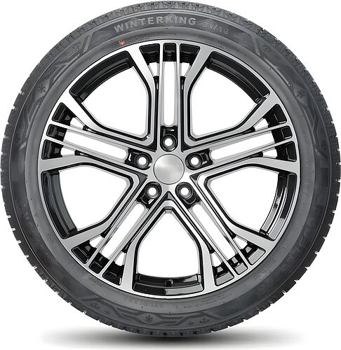 Doublestar DW16