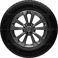 Dunlop GrandTrek Ice 02 315/35 R20 110T XL