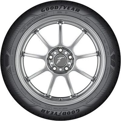 Goodyear EfficientGrip Performance 2 195/55 R16 91H XL