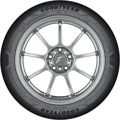 Goodyear EfficientGrip Performance 2