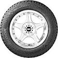 Hankook RW11 i Pike