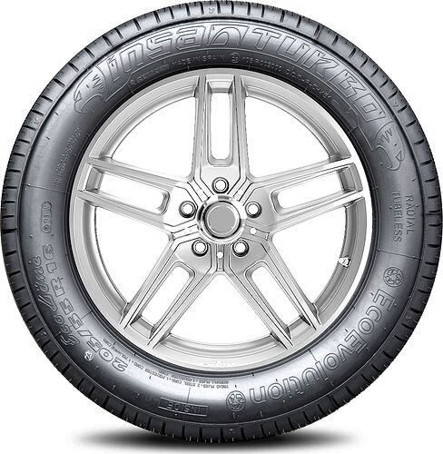 Insa Turbo Ecoevolution