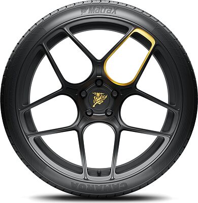 Matrax CAMARGA 205/60 R16 92V