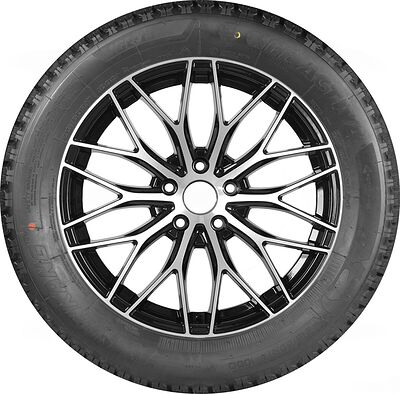 Nankang Ice1 255/50 R19 107Q XL