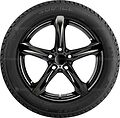 Taurus Ice 215/55 R17 98T XL