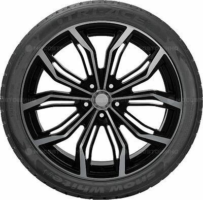 Tri-Ace Snow White II 255/40 R20 101H XL