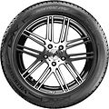 Vredestein Wintrac Pro 285/45 R19 111V XL