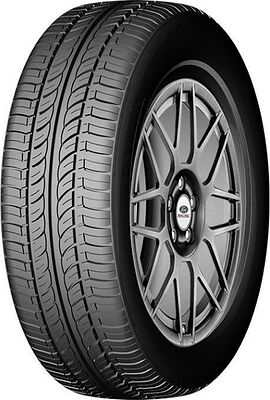 Autogrip R102 165/65 R14 79T 