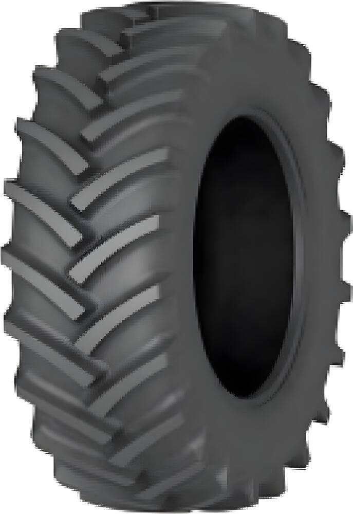Белшина Бел-55