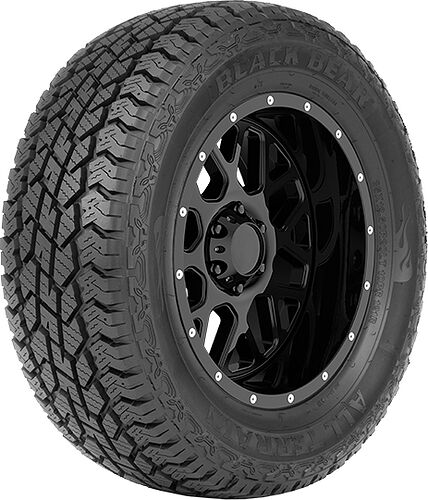 Black Bear All Terrain