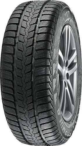 Ceat Formula Winter