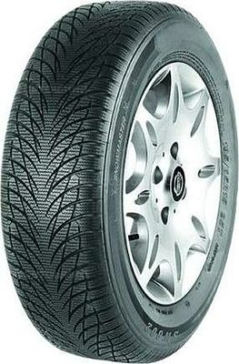 Goodride Sw602 205/55 R16 91H 