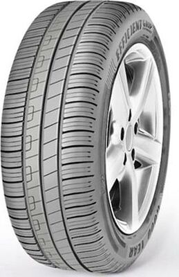 Goodyear EfficientGrip Performance FI 205/55 R16 91V 