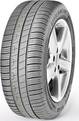 Goodyear EfficientGrip Performance FI