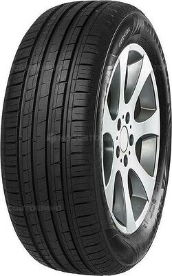 Minerva F209 195/55 R16 87H 