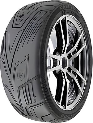 Pallyking Racing PU09 195/50 R15 82V