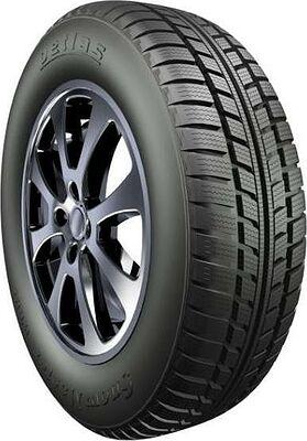 Petlas Snow Master W601 175/70 R14 84T 