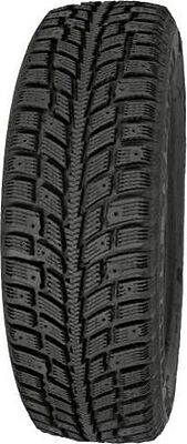 Profil WINTER EXTREMA 205/55 R16 91H RF