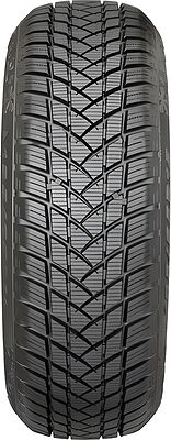 GT Radial Champiro Winterpro 2 Sport 215/60 R17 96H