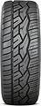 Nitto NT420V 295/30 R22 103V