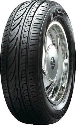 Radar RPX800 205/55 R17 95Y 