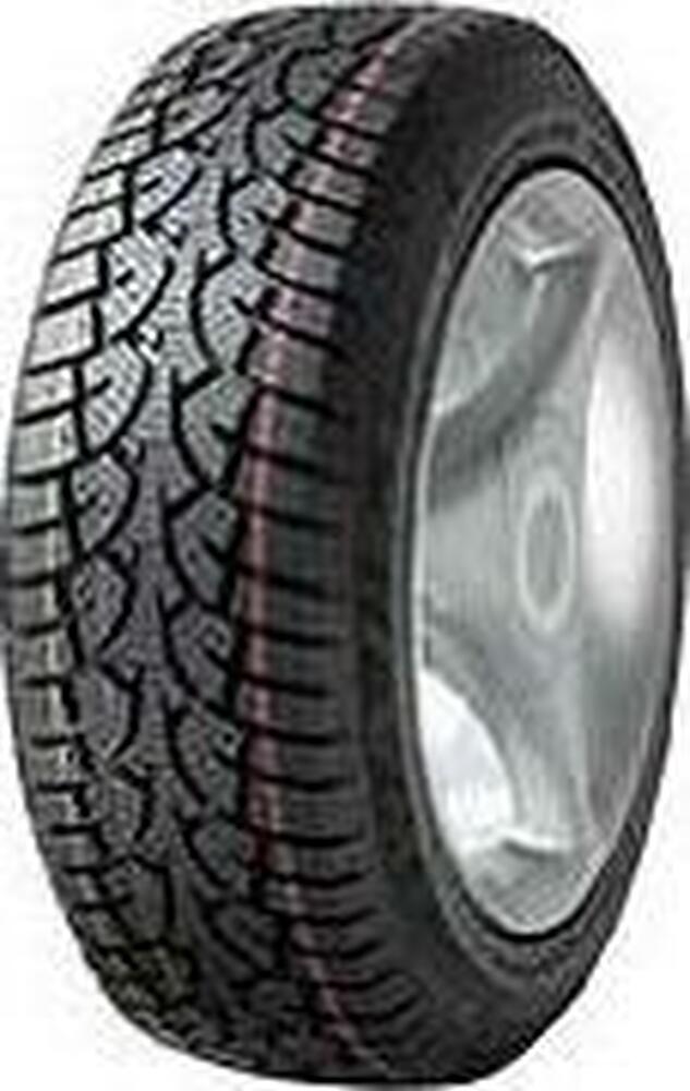 Wanli Snowgrip 215/60 R16 99H