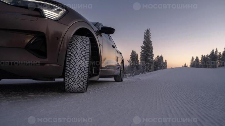 Автомобильные шины Nokian Hakkapeliitta R5 EV [2192]