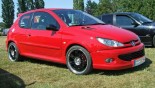 Диски Momo Corse на автомобиле Peugeot 206