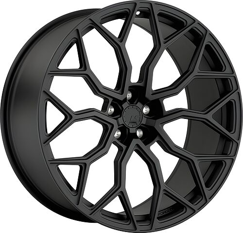 LS Forged LS FG13Y
