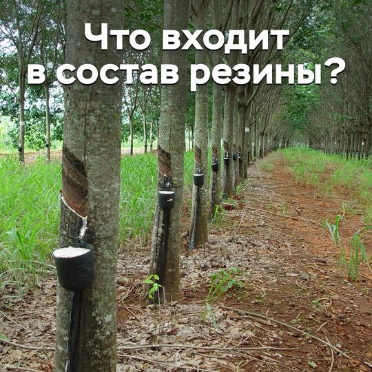 Что входит в состав резины?