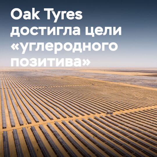 Компания Oak Tyres достигла цели «углеродного позитива» с помощью Ecologi