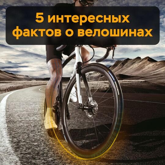 5 интересных фактов о велошинах