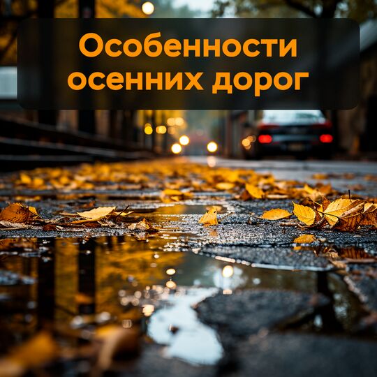 Особенности осенних дорог