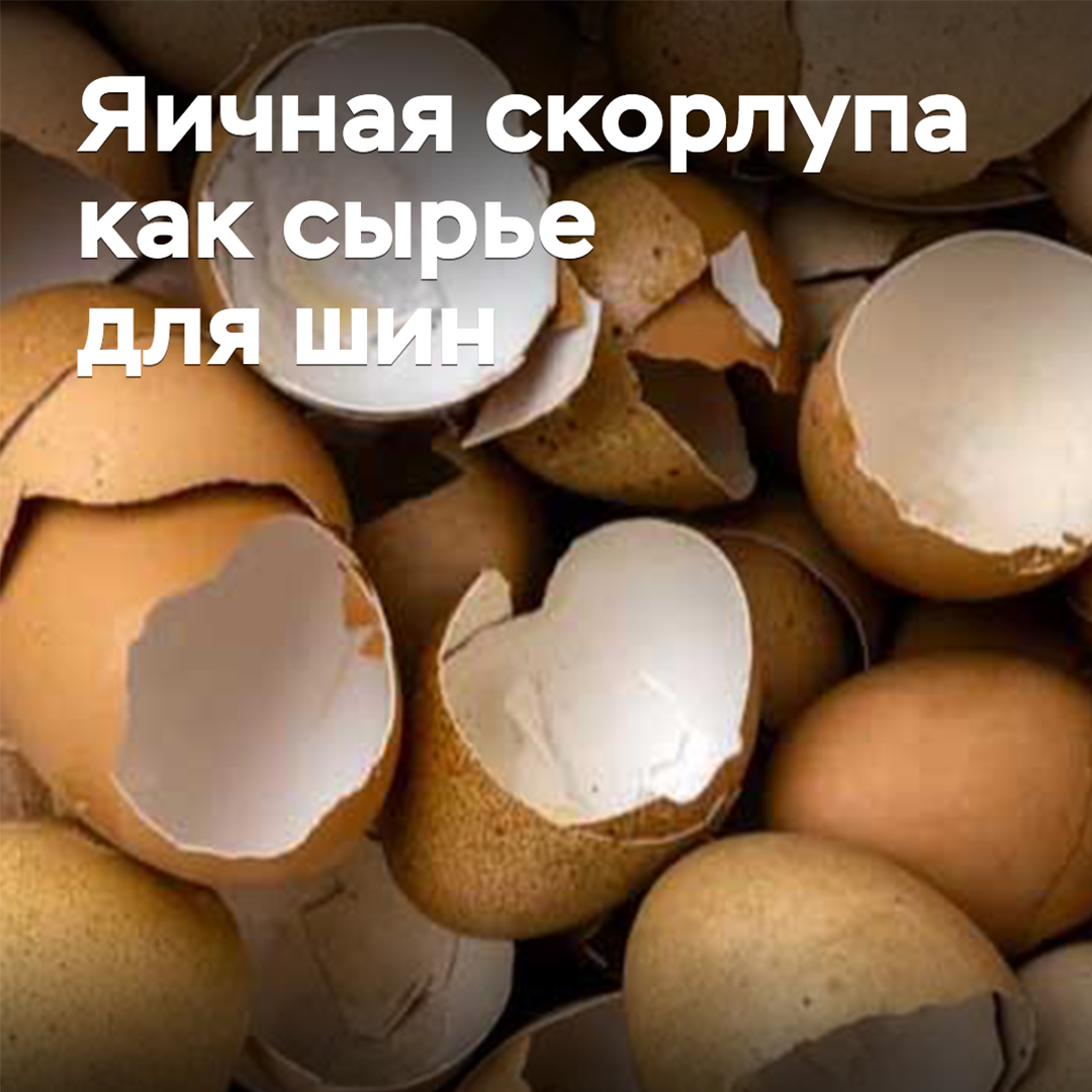Eggshells as raw material for tires