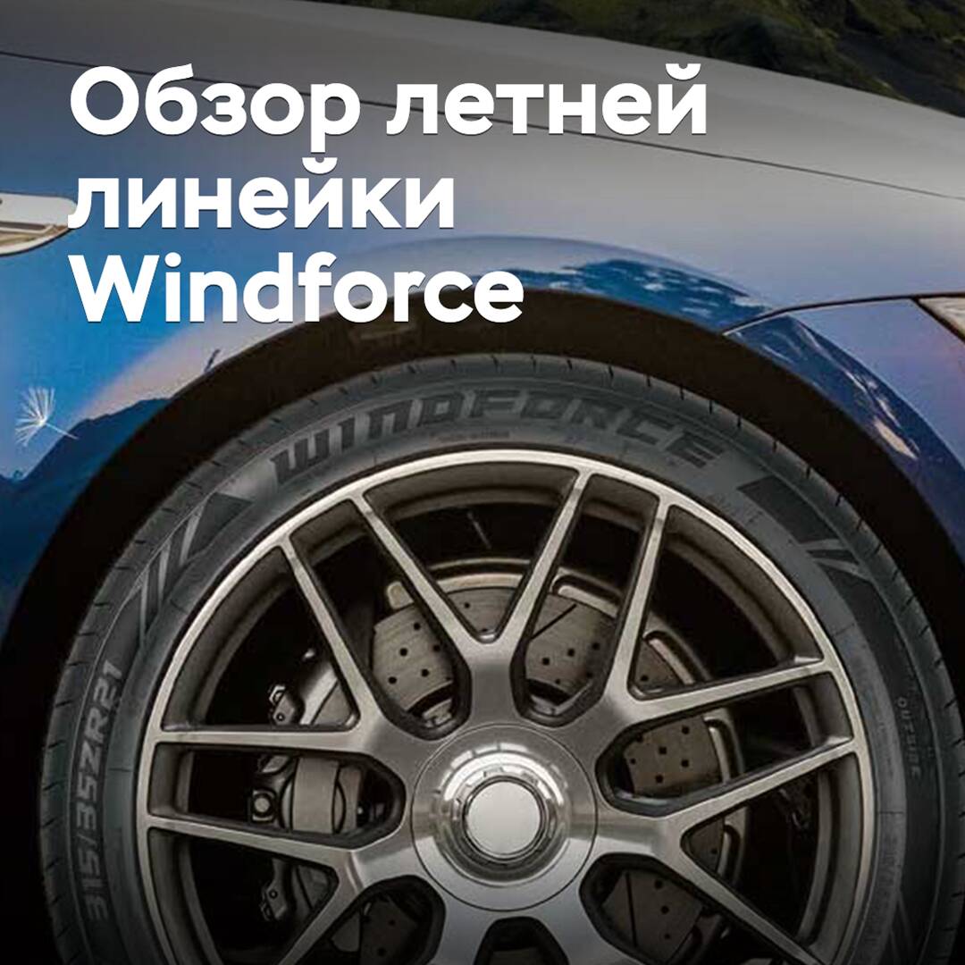 Overview of the Windforce summer lineup