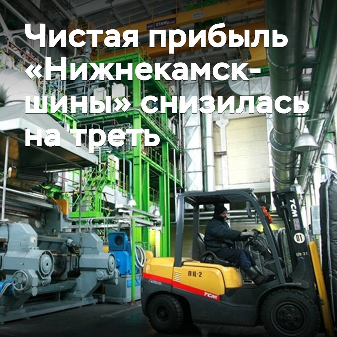 Net profit of Nizhnekamskshina decreased by a third