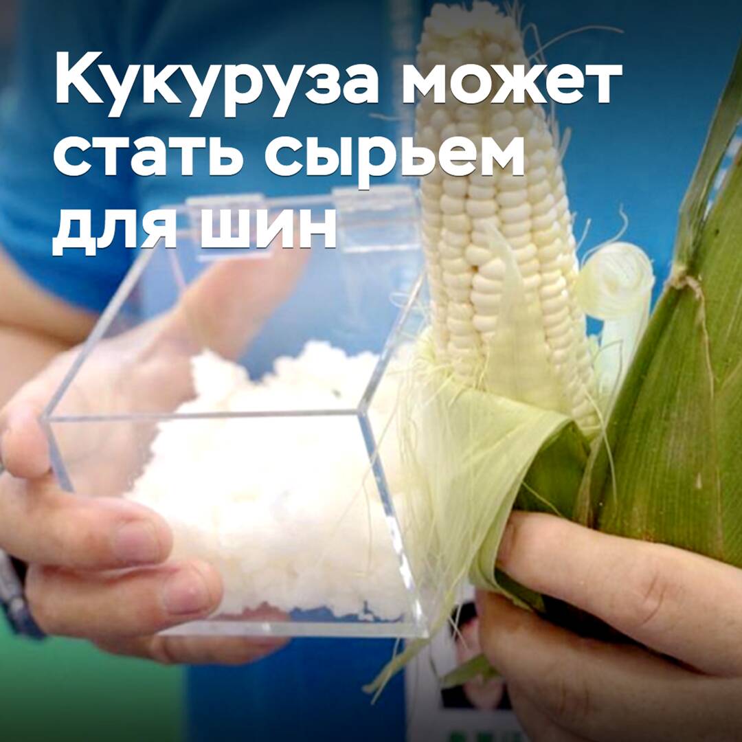 Corn has been recognized as a potential raw material for the tire industry